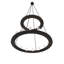 24 - Light Chandelier