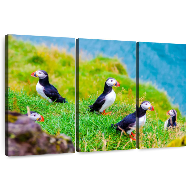 Brampt Puffins On Grass, 32" H x 50" W
