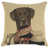Brown Dog 1