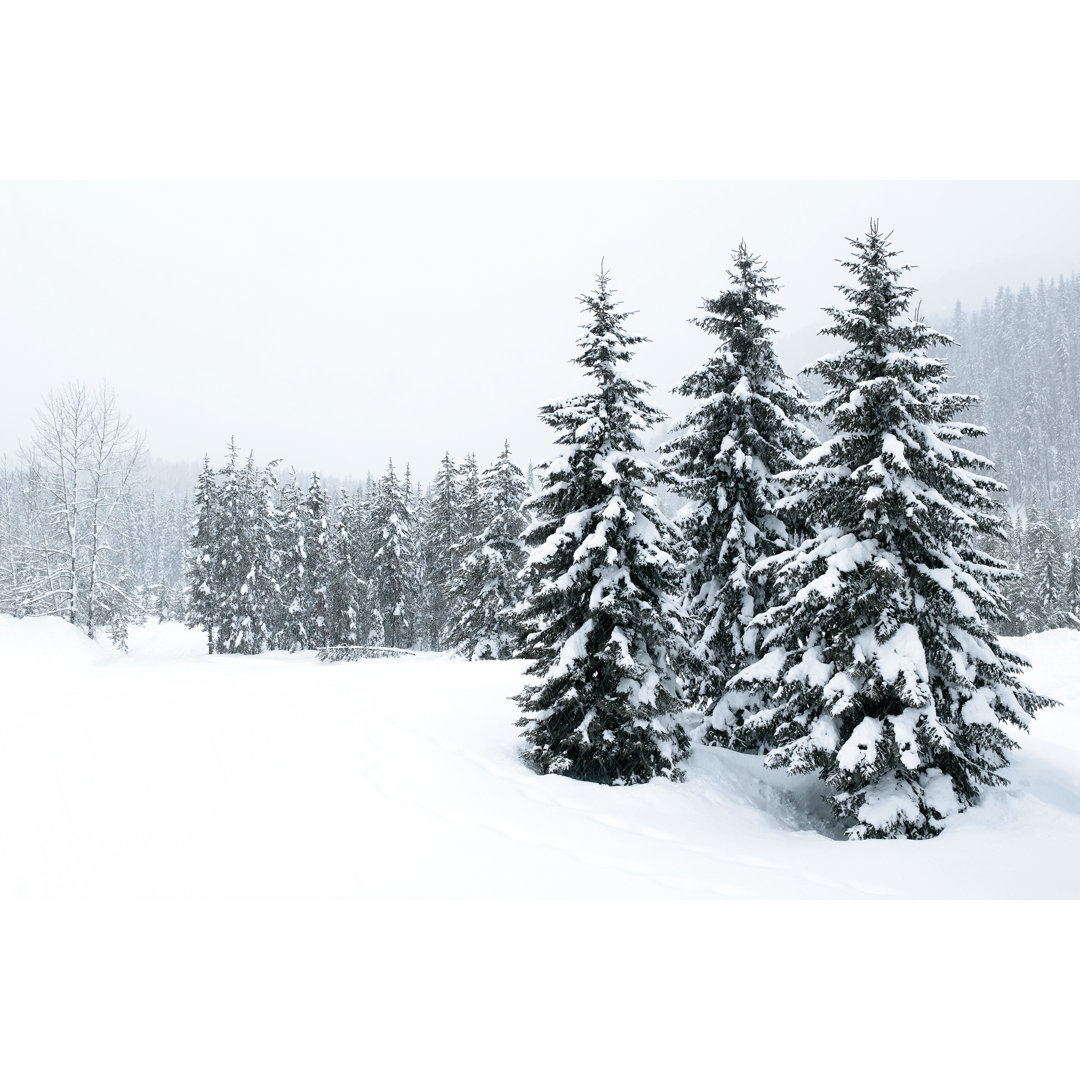 Winterwald-Schneesturm von Sharplydone - Leinwandbild