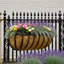 Pot Planter