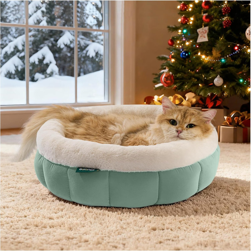 Lit pour chat pour chat d'intérieur, lit rond pour chat lavable, lit mignon pour chat avec fond antidérapant pour chat et chiot, 18 pouces, vert granit