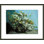 «Flowering Branches and Flowers» par Gustave Courbet, impression giclée sur cadre