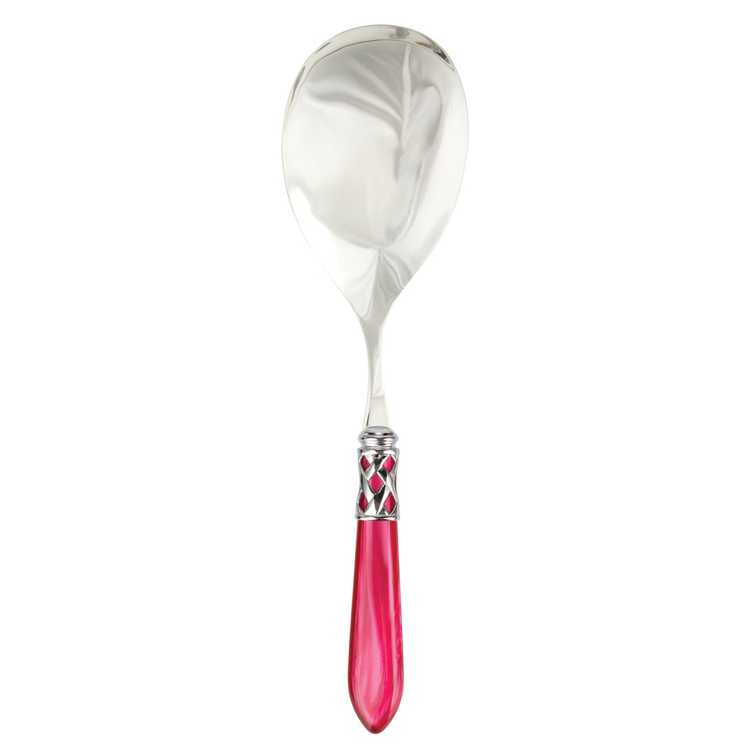 Aladdin Stainless Steel Serving Spoon VIETRI 