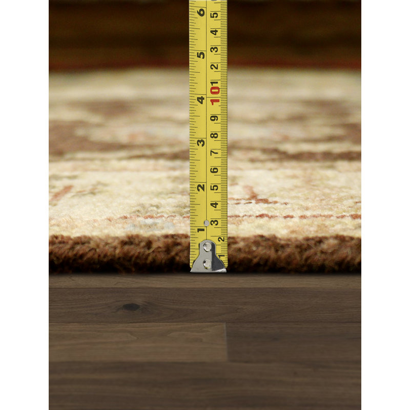 Melody Hand Knotted Wool Oriental Area Rug in Brown/Cream/Black