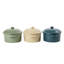 Mini cocottes en céramique avec couvercle, ensemble de 6 ramequins allant au four de 9,6 oz, couleurs assorties