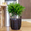 Jardinière Aruthur-506036348
