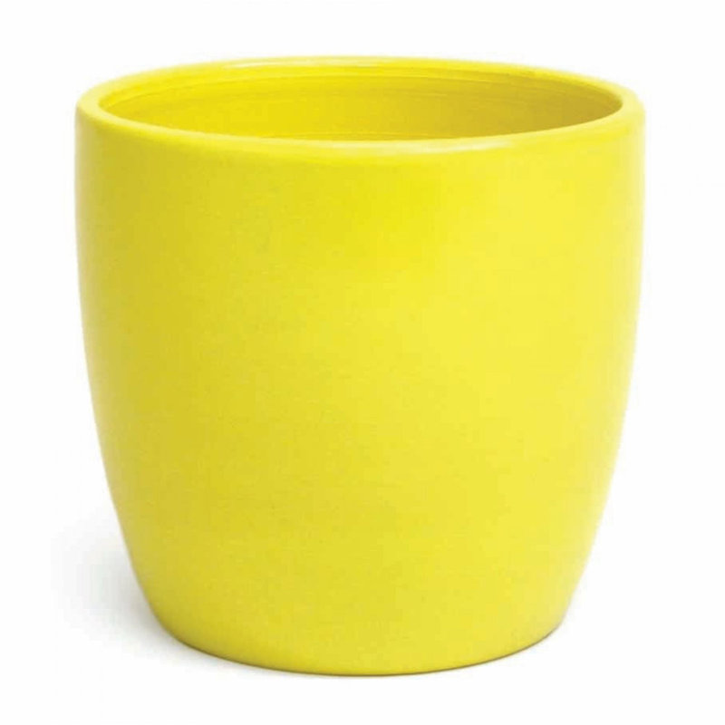 Pot à fleurs citron et citron, Jaune