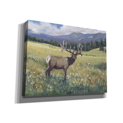 «Rocky Mountain Elk I» par Tim O'toole, art mural sur toile