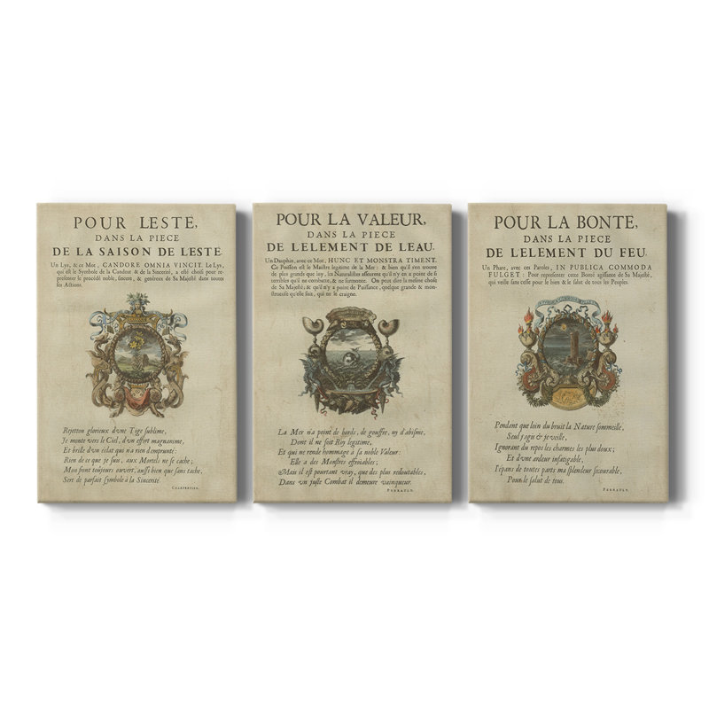 Ex-libris embelli VI - Toile tendue avec châssis sur mesure - 3 pièces, H 12 po x l 24 po