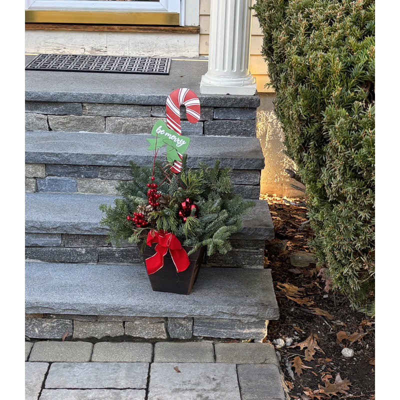 Ensemble de 3 cannes de Noël 12 po en métal sur piquet 12 po