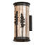 Tern 2 - Light Flush Mounted Sconce