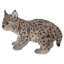 Statue de lynx chaton