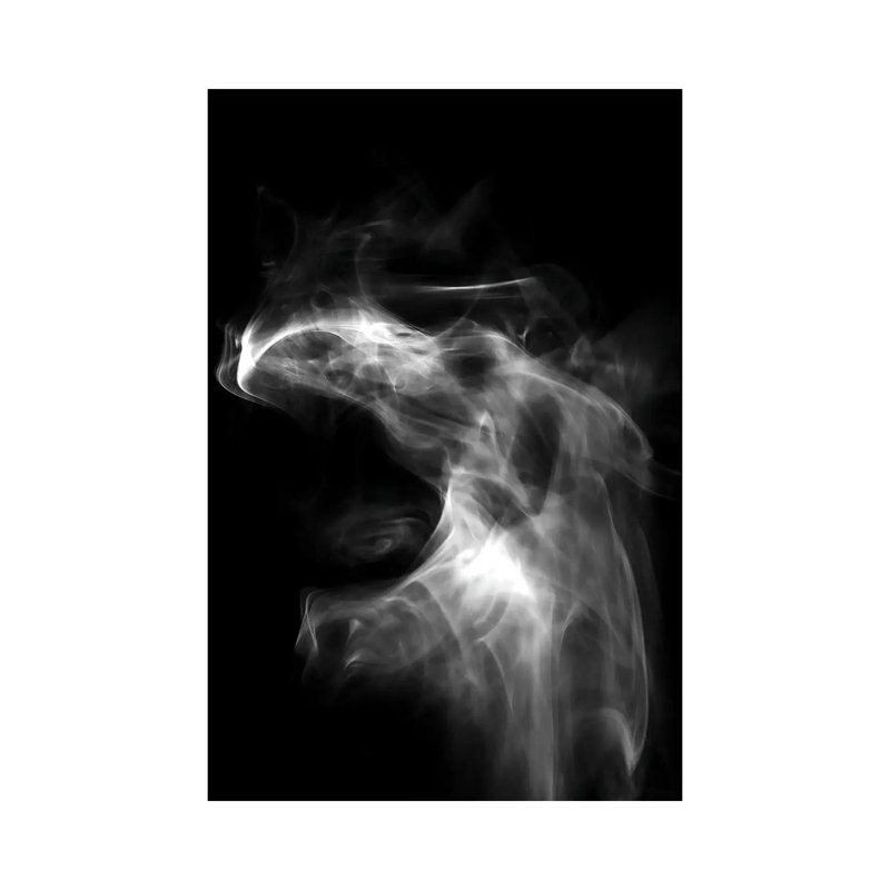 Dragon In The Smoke By Nik Rave - Wrapped Canvas Graphic Art by Nik Rave - Wrapped Canvas Gallery-Wrapped Canvas Giclée