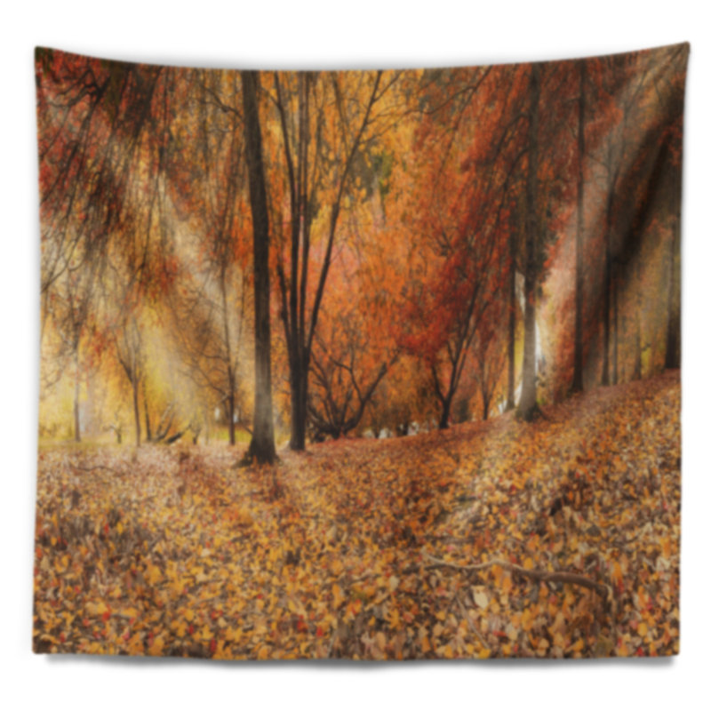 Photographie de paysage brown autumn panorama tapisserie, H 32 po x l 39 po