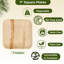 Assiette plate Palm Leaf