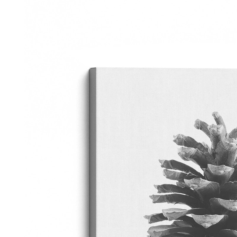 Portrait of a Pinecone, grande impression sur toile, H 54 po x l 36 po