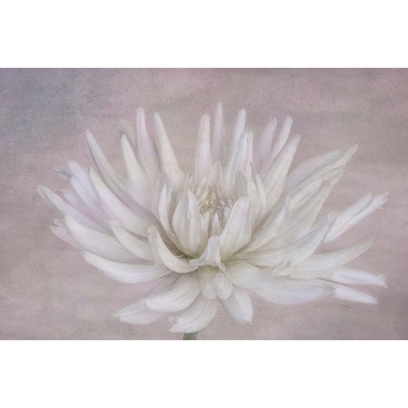 Wrapped Canvas Print, 50.8 cm H x 76.2 cm W