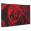 Drops Upon A Red Rose Painting - Wrapped Canvas-56660001
