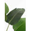 Artificial Christmas Tree-1197267952