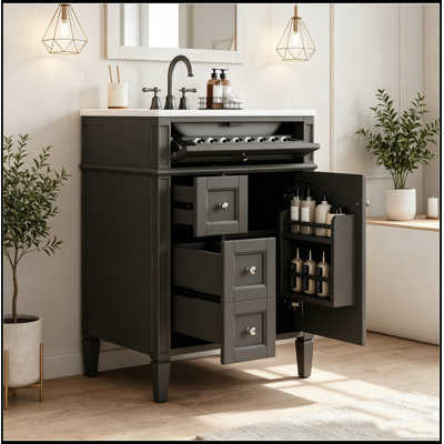 Bathroom Vanity with Top Sink, Storage Cabinet, 2 Drawers and a Tip-out Drawer