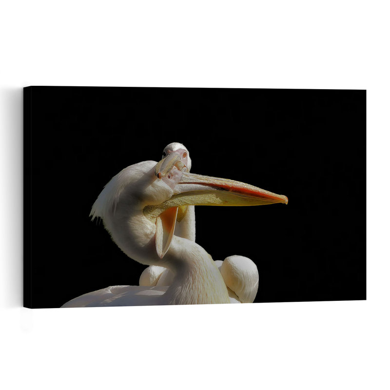 Graceful White Pelicans Elegant Contemporary Bird Pelican Nature Portrait Wall Art Print 1 Piece Wrapped Canvas Wall Art