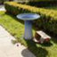 Bain d'oiseaux en céramique pour patio, jardin