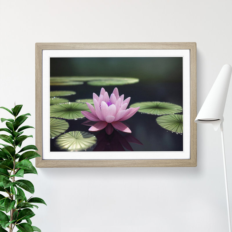 Expressive Water Lily Flower - Single Picture Frame Print, 46cm H x 64cm W x 2cm D, Oak