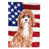 Cavapoo sélectionné