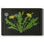 - Impression sur toile tendue-431209039