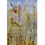 One-of-a-Kind 9' X 12' Flatweave Area Rug