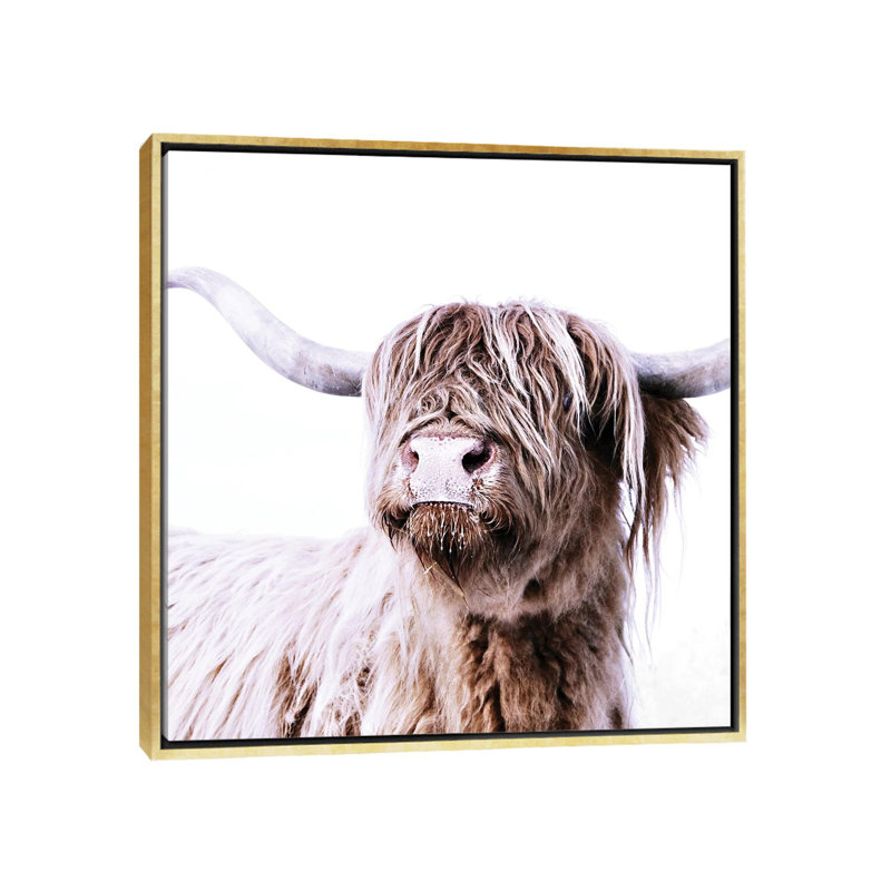 «Highland Bovins Frida I Square» par Monika Strigel - reproduction, Toile encadrée d'or, Pas de tapis