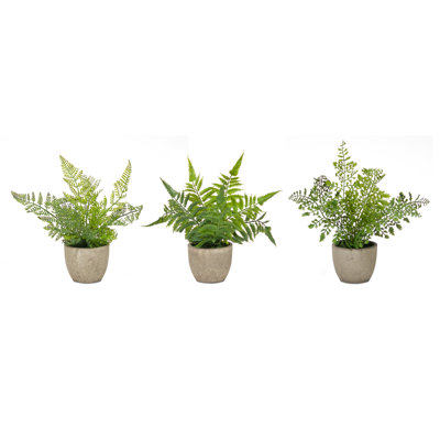 9.5'' Faux Fern Plant in Pot