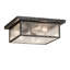 3 - Light Flush Mount