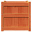 Wooden Kogut Flower Box-404620899-405712117-450382483