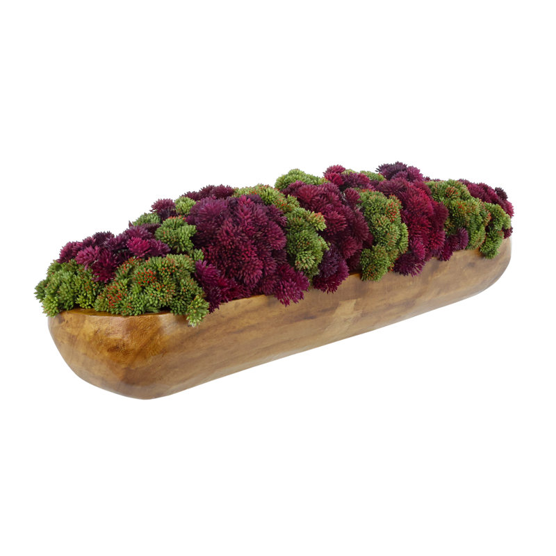 Arrangement de Sedum dans un pot à fleurs en bois, 7" H x 24" W x 8" D, Bourgogne, Brun