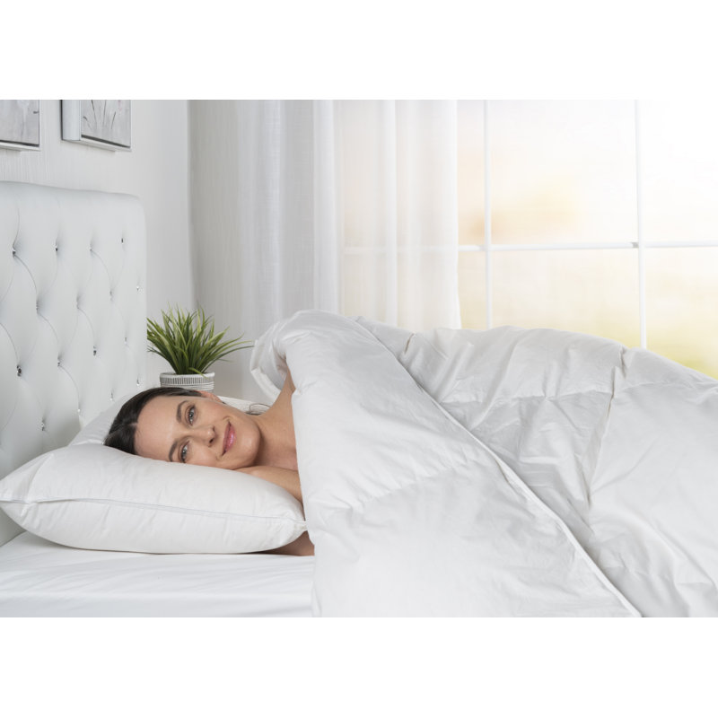 Twin White Cotton Goose Down Comforter with Corner Tabs