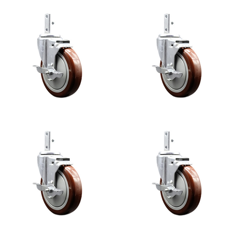 Poly Caster, Maroon
