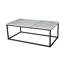 Shellson Frame Coffee Table