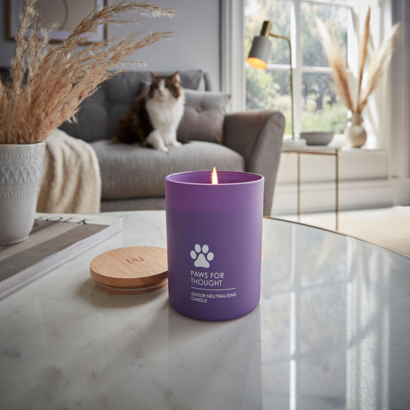 Bougie cire lyrique Home Scenter mat avec pattes de réflexion