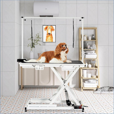 Dog Grooming Table, 50'' Electric Lift Heavy Duty Cat Grooming Table With Aluminium Overhead Arm, Adjustable Pet Grooming Table With Anti Slip Tabletop For Grooming, Trimming, Dressing, Drying, White