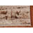 Transitional Oriental Rug 4x6