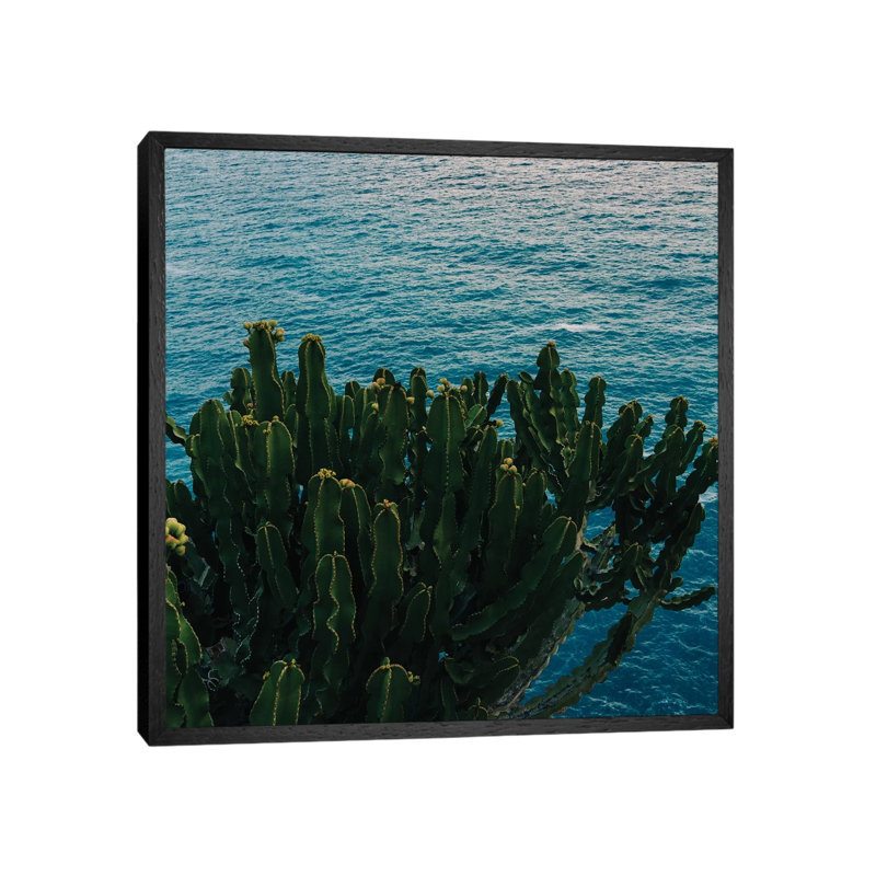 Amalfi Coast Cactus II by Bethany Young - Print on Canvas, 66.04cm H x 66.04cm W x 3.81cm D, Black Framed