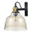 Suzannah Iron Armed Sconce-336356950