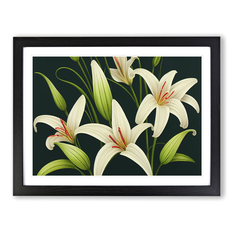 Collection of Lily Flowers Vol.1 - Framed Print, Black, 46cm H x 64cm W x 2cm D