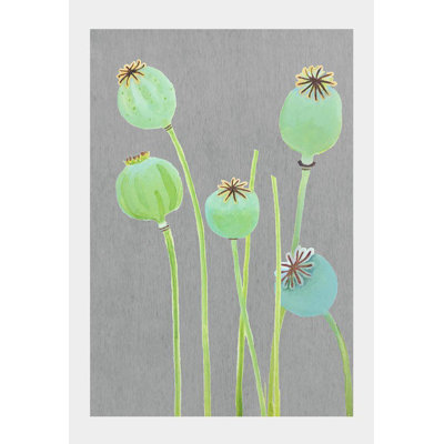 " Poppy Pods On Gray "