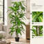 Plante dracaena artificielle de grande taille (1,7 m) avec branches ajustables et feuilles vertes réalistes