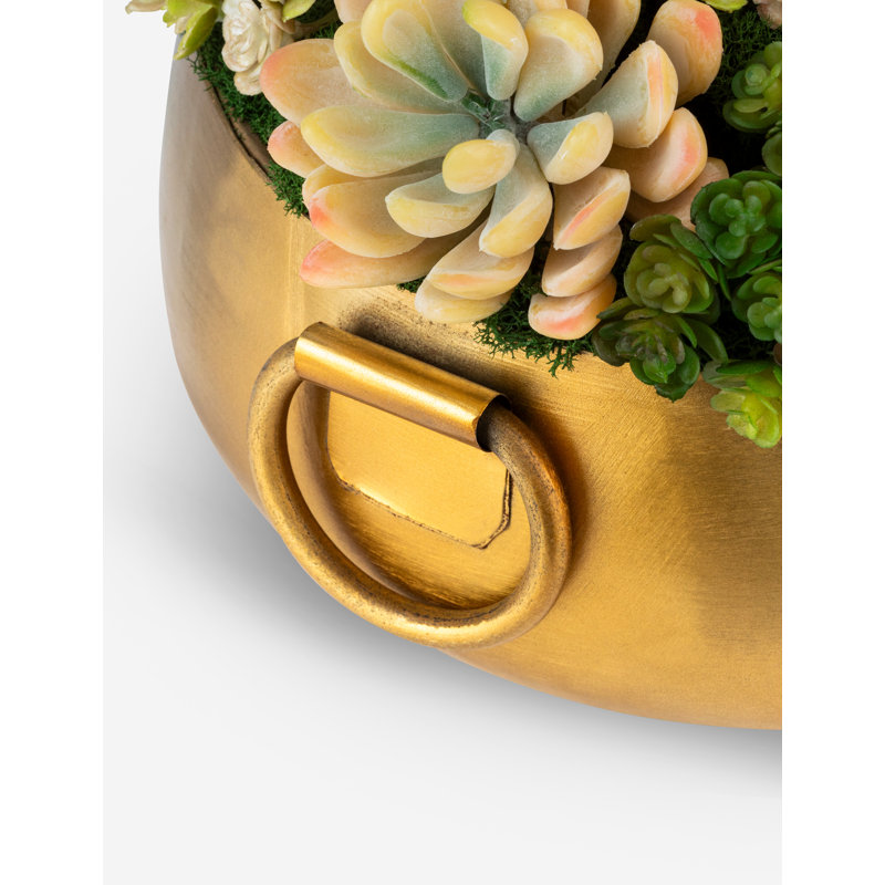 Blaise Succulent Arrangment