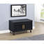 Banc de rangement 2 portes-834557758