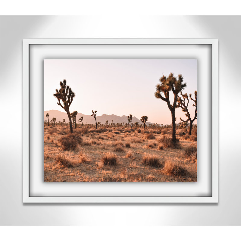 Arbre - photographie avec cadre photo, H 21,5 po x l 25,5 po x P 1,25 po, Blanc satiné
